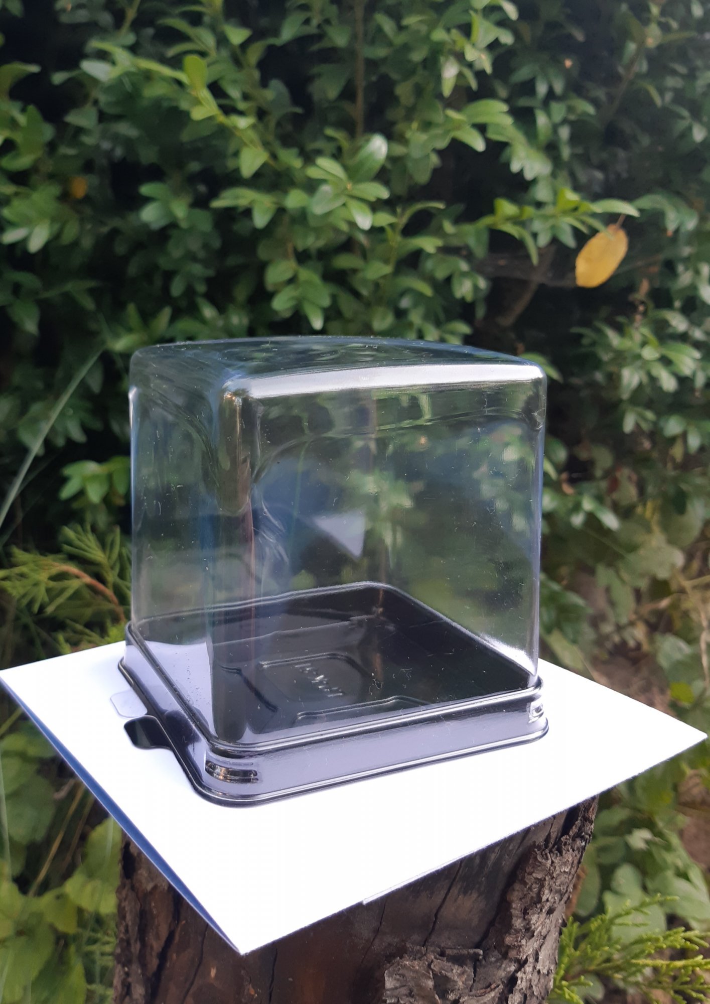 Квадратная коробочка LP-K-51 под кусочек торта - Бери Пакет