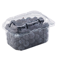 Перфорированный контейнер TL 5(РКФ-250)-250/76 с крышкой