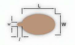 Подложка с держателем №2 толщина 0,8 мм 60х95мм Подложка с держателем №2 толщина 0,8 мм 60х95мм